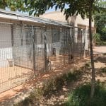 Residencia Canina Vilamarxant – Guardería Canina en Villamarchante