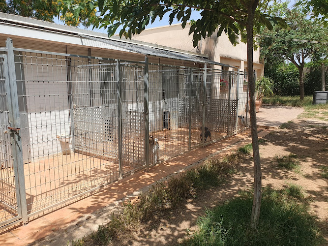 Negocio Residencia Canina Vilamarxant