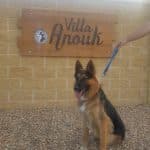 Residencia Canina Villa Anouk – Guardería Canina en Morales del Vino