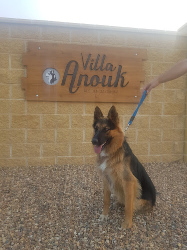 Negocio Residencia Canina Villa Anouk