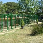 Residencia Canina Villa Liberty – Guardería Canina en Tres Cantos