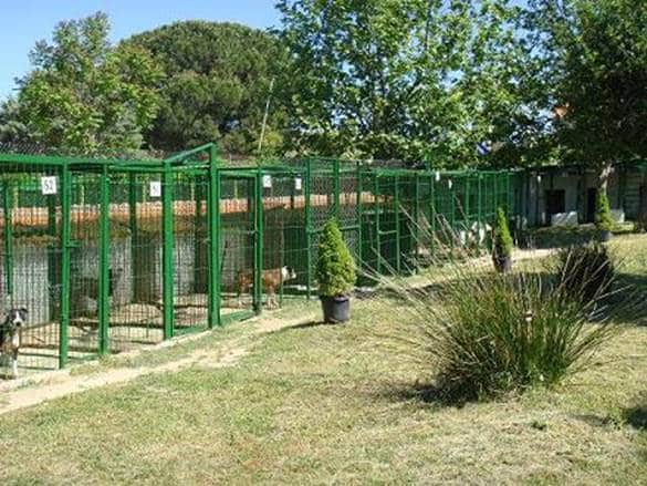 Residencia Canina Villa Liberty