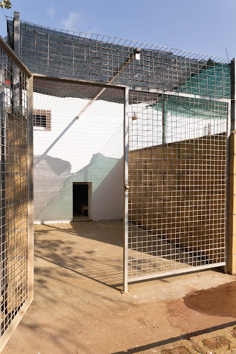Negocio Residencia Canina Y Felina Fundación Luna