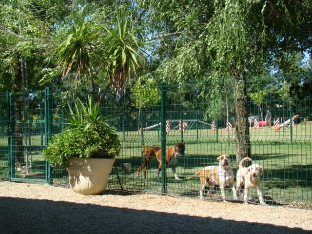 Residencia Canina Y Felina Ruta De La Plata - Sevilla