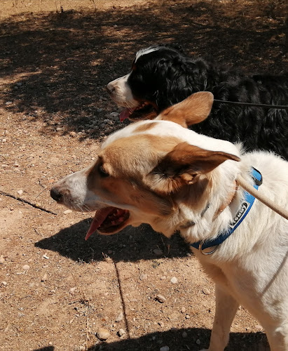 Negocio Residencia Canina Y Felina Tres Llunes - Barcelona