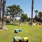 Residencia De Animales Oasis – Guardería Canina en Sevilla