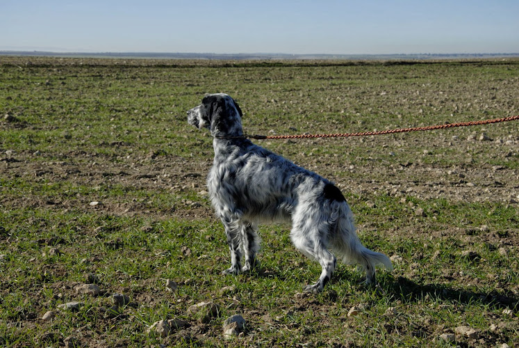 Residencia Hotel Canino Larrañazubi