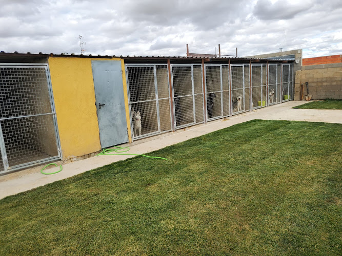 Negocio Residencia Villacharra Y Criadero Canino