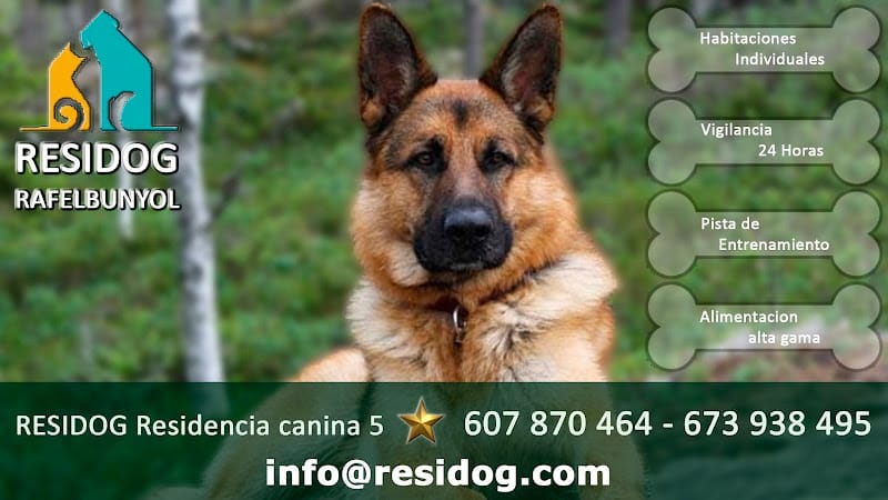 Negocio Residog