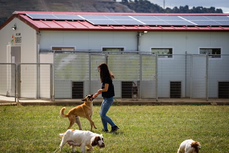 Negocio Ruralvet Centro Animal Grijota