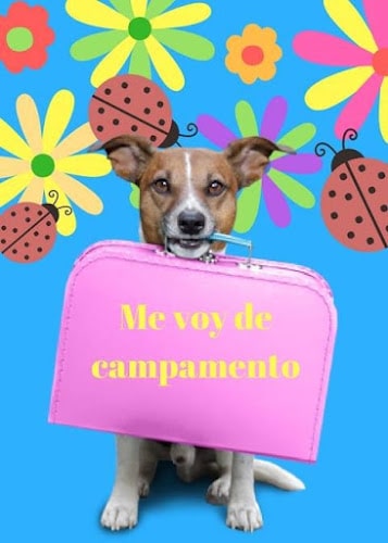 Negocio Santuario Josefina Rivero Y Su Perro Willy