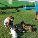 School4Dogs – Guardería Canina en Sanlúcar la Mayor