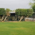 Schoolcanin - Escuela Y Residencia Canina – Guardería Canina en Torrepalma