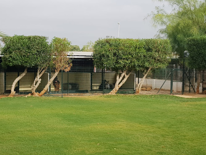 Negocio Schoolcanin - Escuela Y Residencia Canina