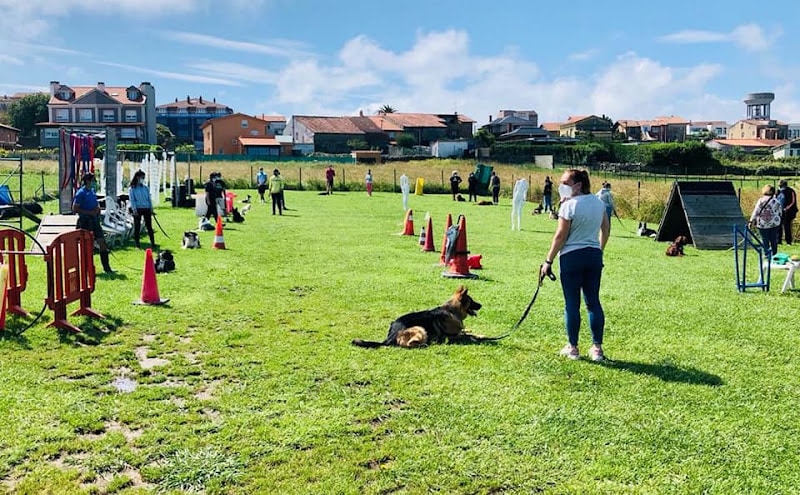 Negocio Servicios Caninos