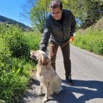 Setterlarrañazubi – Guardería Canina en Getxo
