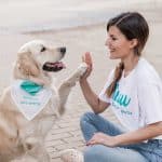 Snau Peluquería Y Guardería Canina – Guardería Canina en Madrid