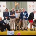 Solcan Almería – Guardería Canina en Almería