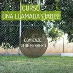 Solo Es Un Perro – Guardería Canina en Centro