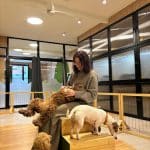 The Dogg Hotel & Spa – Guardería Canina en Salamanca