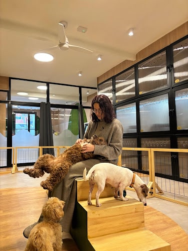 The Dogg Hotel & Spa