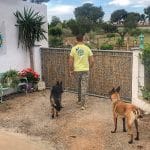 Tiki Ohana - Resort Canino Y Exóticos, Mondioring Y Adiestramiento – Guardería Canina en Valls