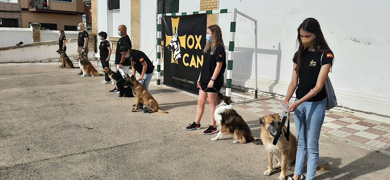 Negocio Tox-Can Adiestramiento Y Residencia Canina