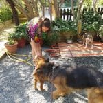 Tres Pirañas Educación Y Residencia Canina – Guardería Canina en Reus