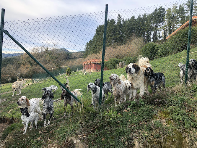 Negocio Troylo Hotel Canino