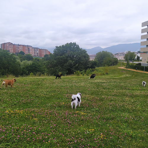 Trufas Y Zarpas