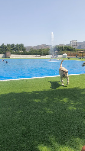 Trust Resort Canino
