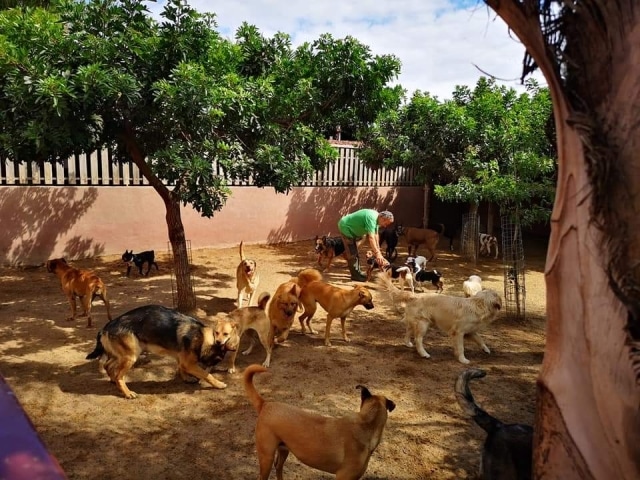 Negocio Tu Centro Canino Damián Machado