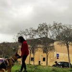 Tu Ladrido Y Mi Voz - Educación Y Adiestramiento Canino – Guardería Canina en Barcelona