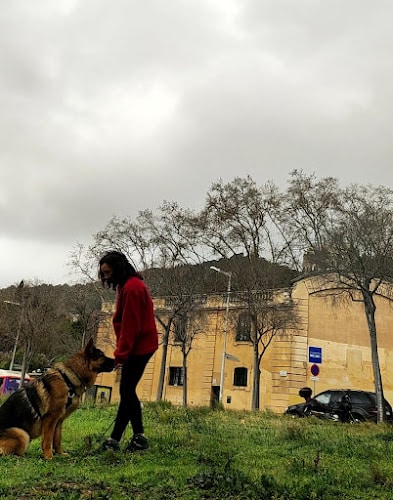 Tu Ladrido Y Mi Voz - Educación Y Adiestramiento Canino