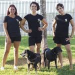 Tu Paseador Mallorca – Guardería Canina en Palma