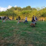 Txakur Bai – Guardería Canina en Meñaka