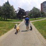 Txakurlove Educación Canina, Alojamiento, Guarderia, Paseos Y Venta De Productos Para Mascotas – Guardería Canina en Barakaldo