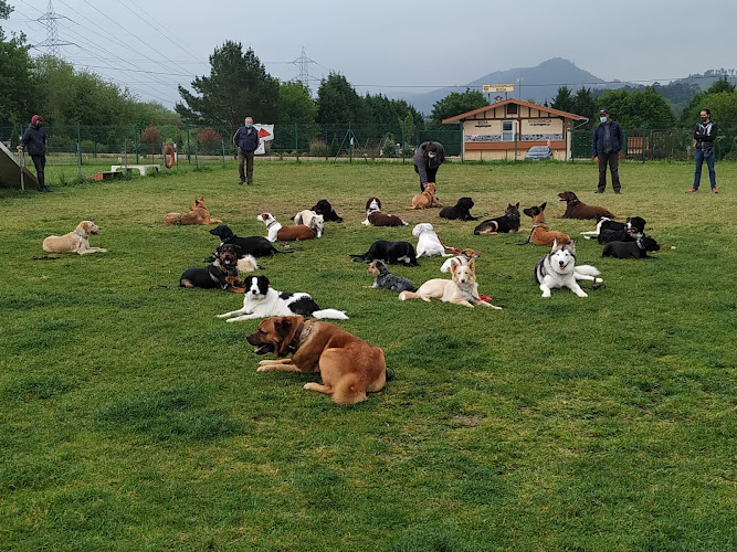 Txiki-Eder Centro Canino