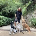 Ulver Canine Club - Dog Training – Guardería Canina en Sants-Montjuïc