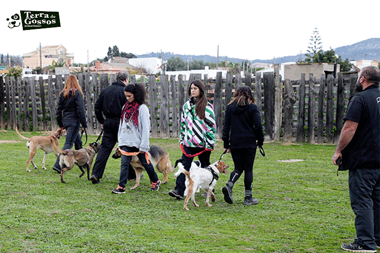 Negocio Urban Dog Bcn