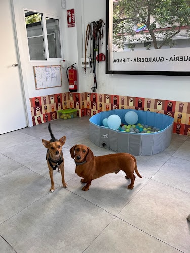 Negocio Vibras Caninas