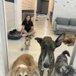Vive Pets (Bº Salamanca) Hotel 24H, Guardería Y Peluquería Canina – Guardería Canina en Madrid