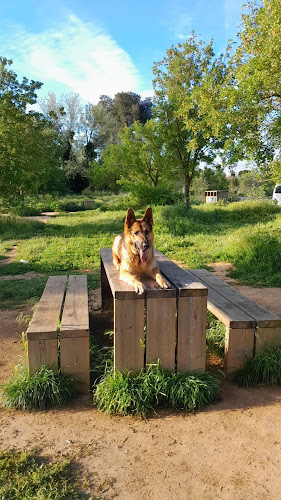 Negocio Workingdog Solutions S.l.