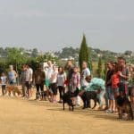 Yaakun Adiestramiento Canino Valencia – Guardería Canina en Godelleta