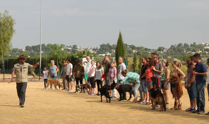 Negocio Yaakun Adiestramiento Canino Valencia