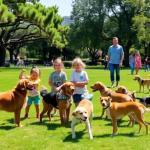 Socialización temprana: clave para perros equilibrados