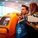 Transportines y mochilas aprobadas para avión: guía completa